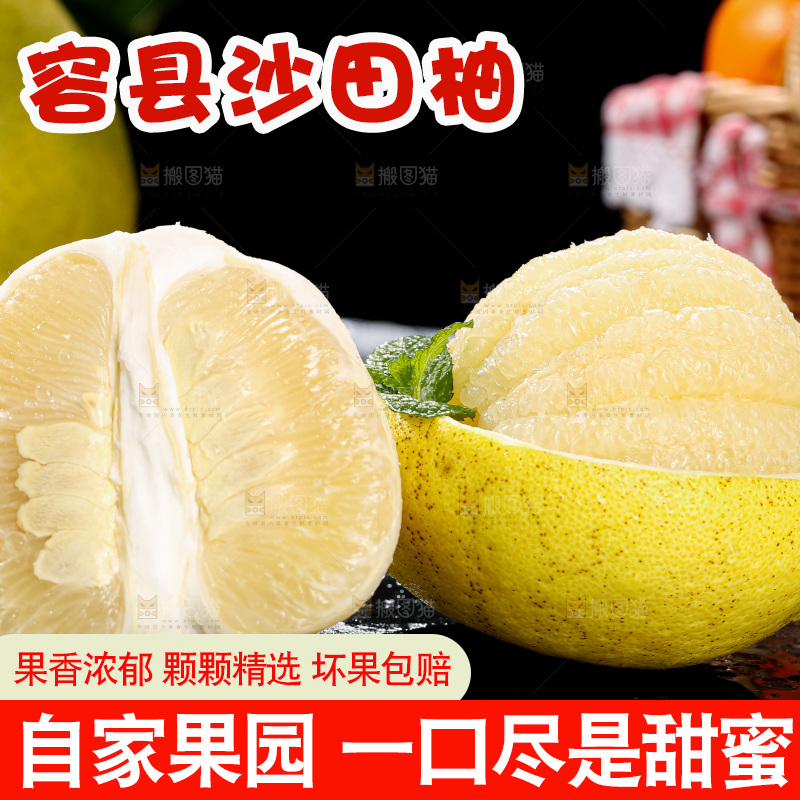 沙田柚