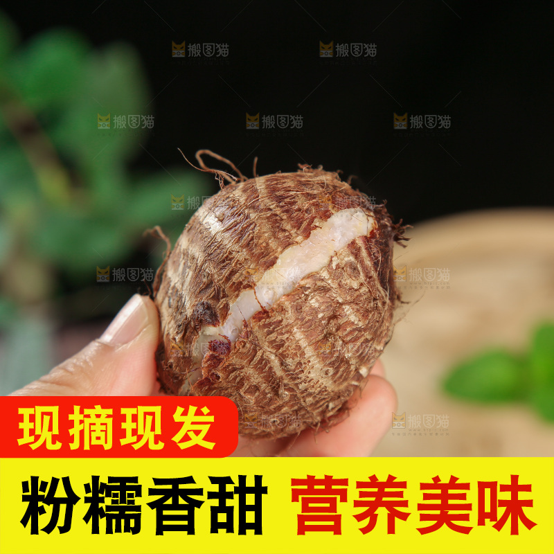 牛奶小芋头