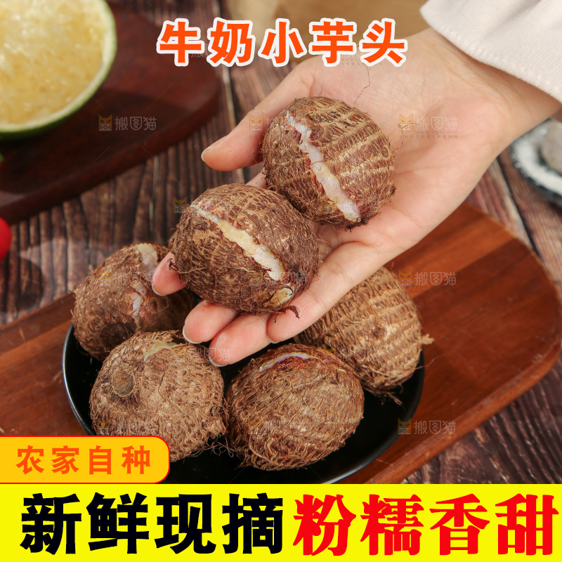 牛奶小芋头