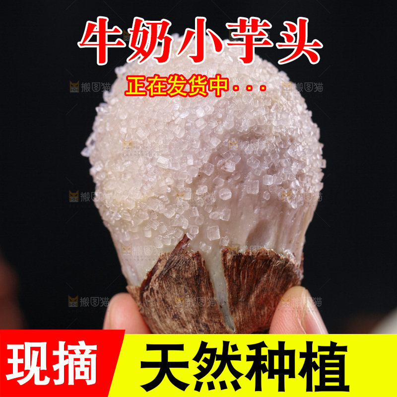 牛奶小芋头