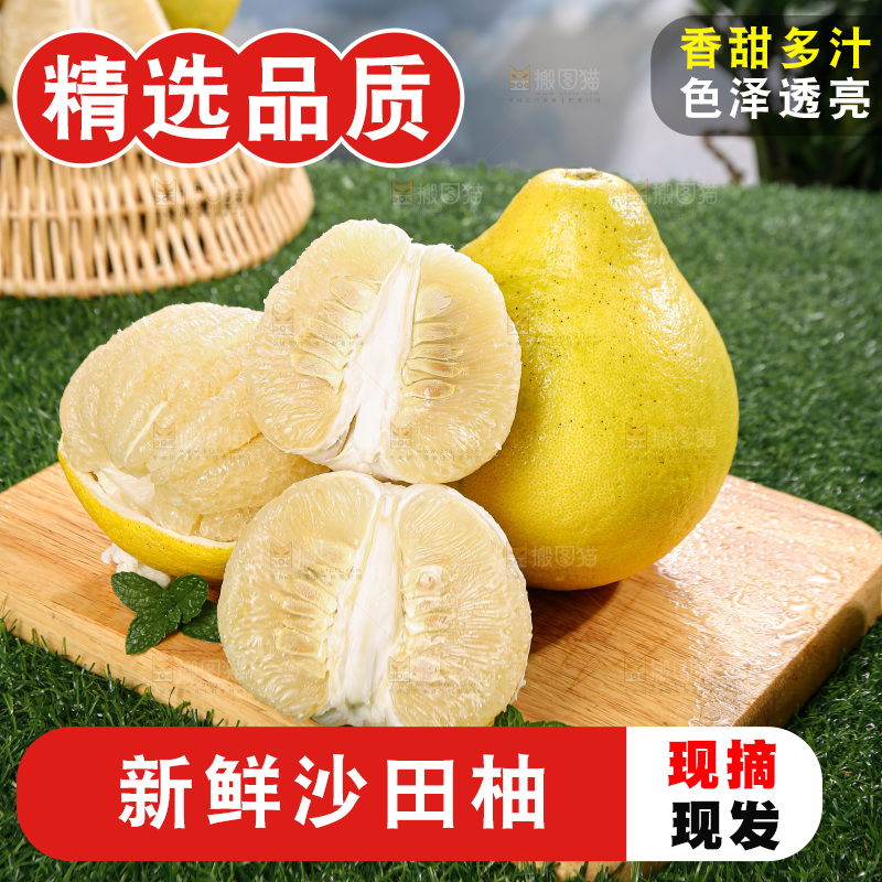 沙田柚
