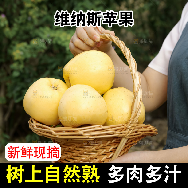 维纳斯苹果