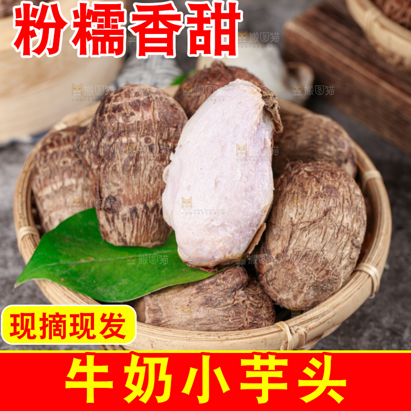 牛奶小芋头