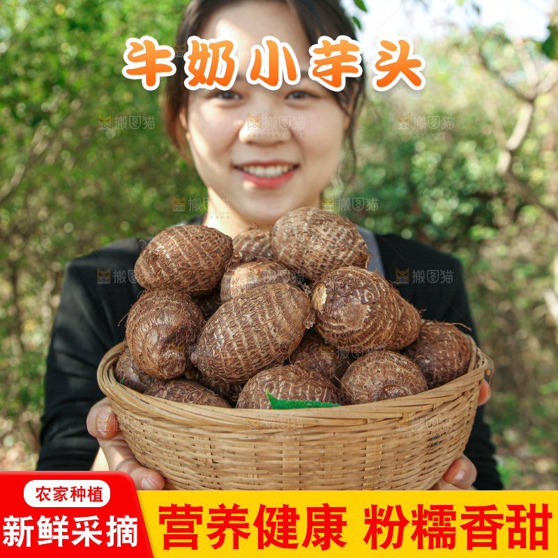 牛奶小芋头