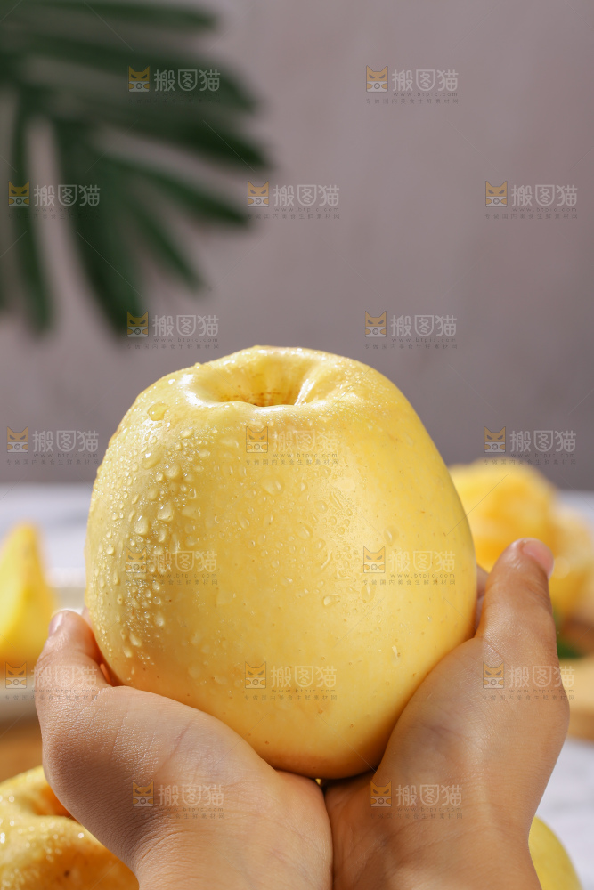 维纳斯苹果