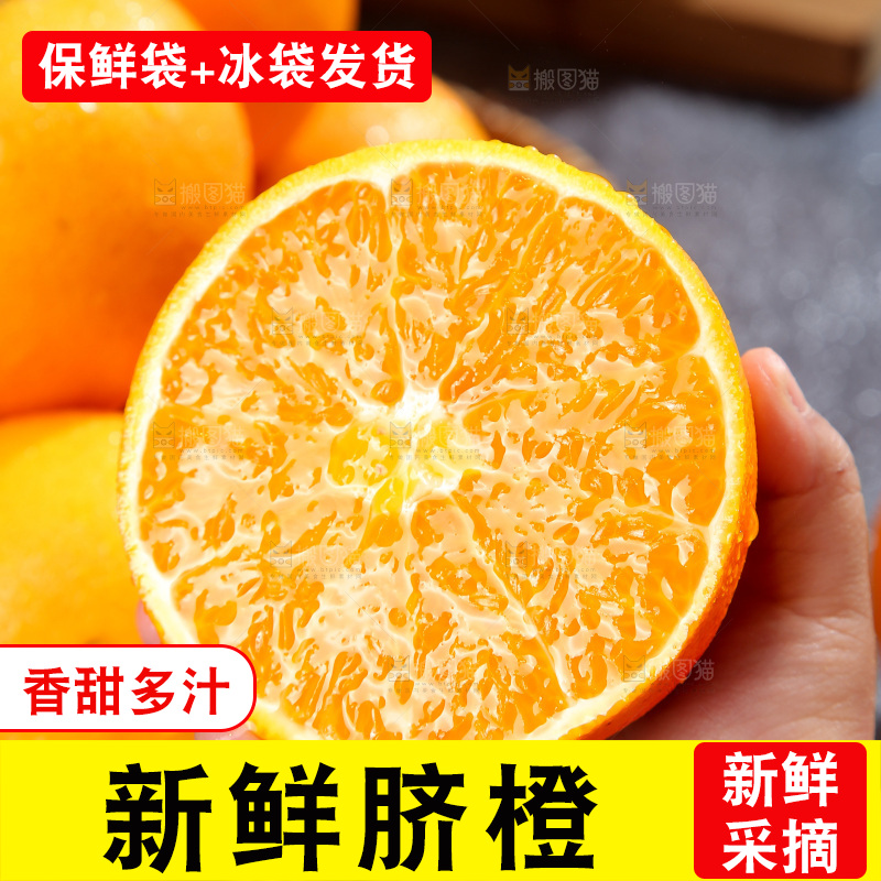脐橙