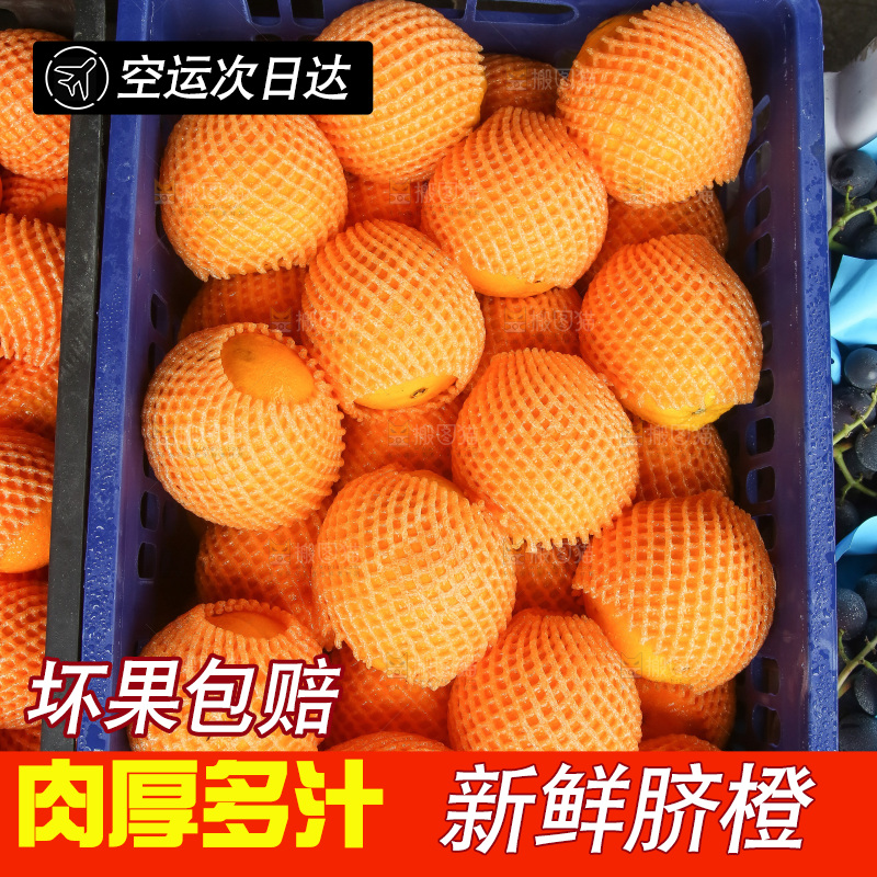 脐橙