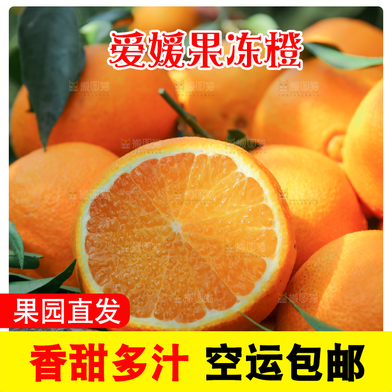 爱媛果冻橙