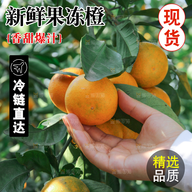 爱媛果冻橙