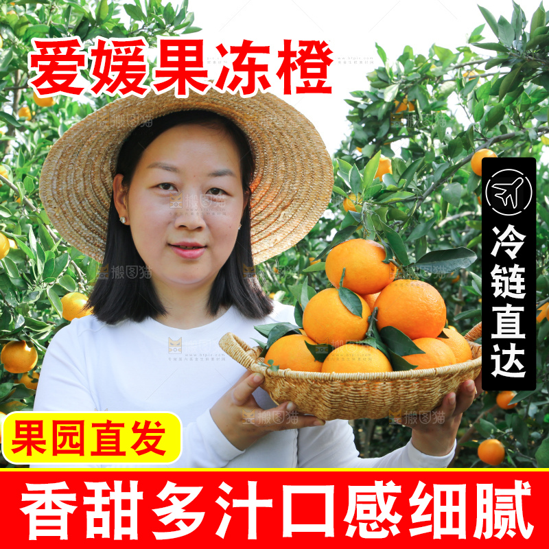 爱媛果冻橙