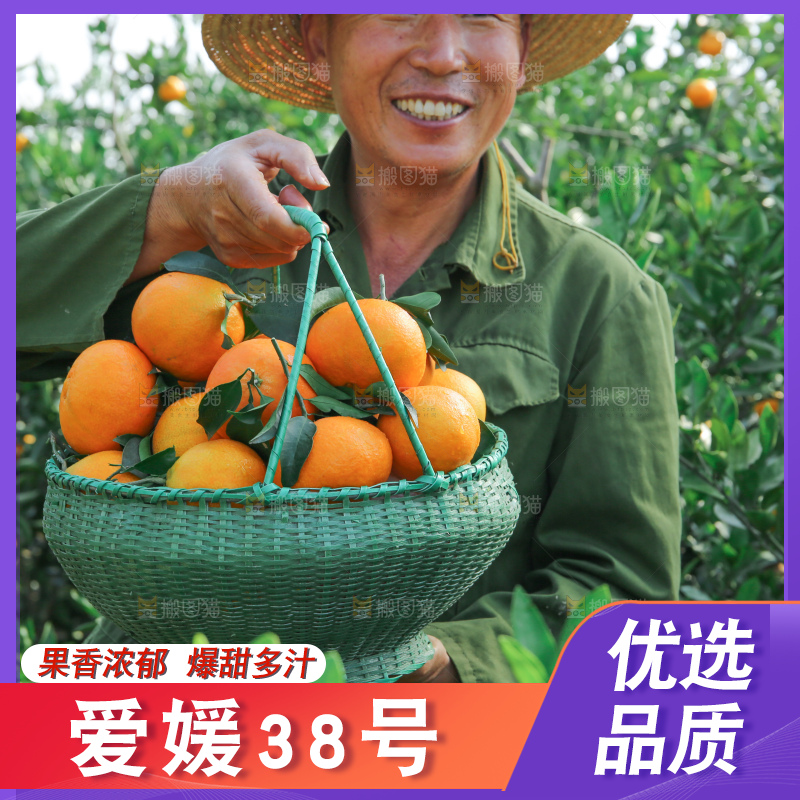 爱媛果冻橙
