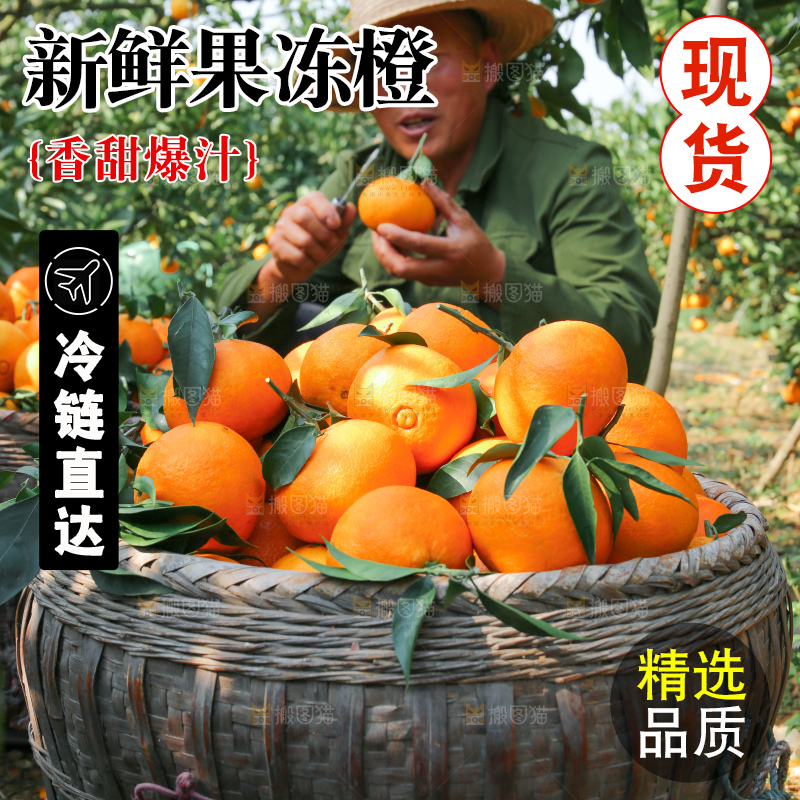 爱媛果冻橙