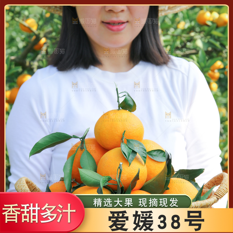 爱媛果冻橙