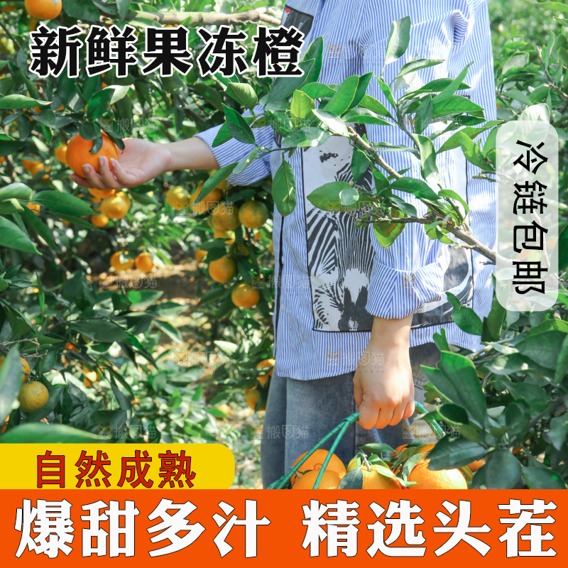 爱媛果冻橙