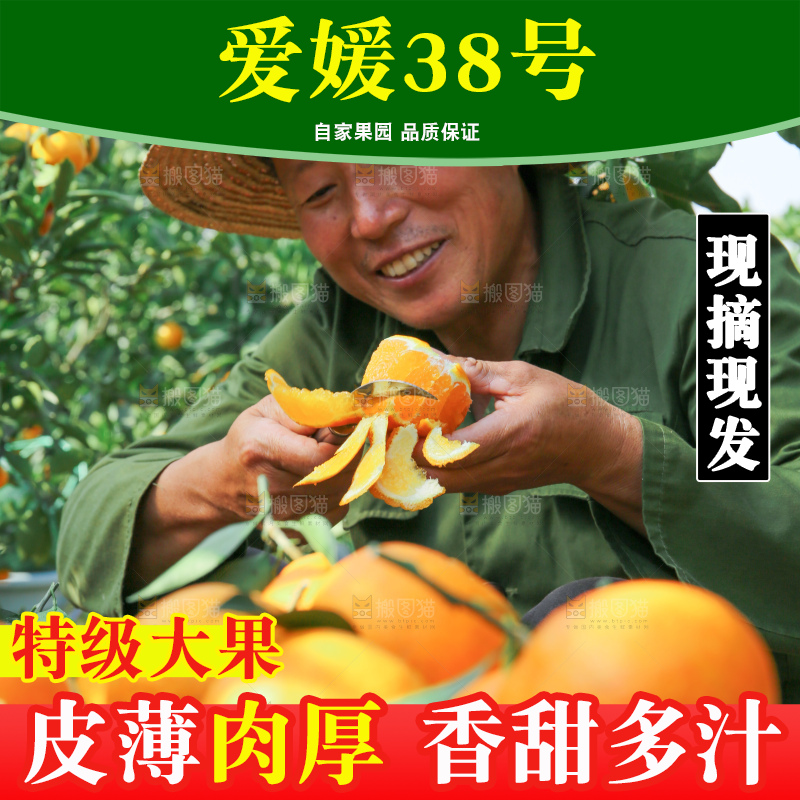 爱媛果冻橙
