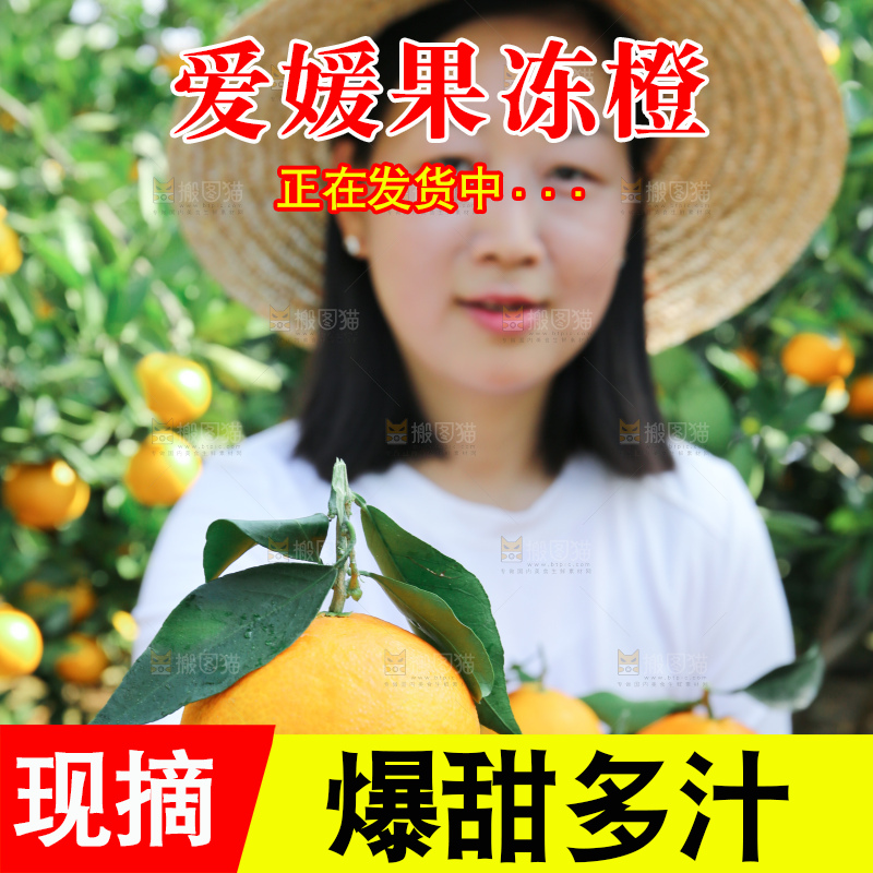 爱媛果冻橙