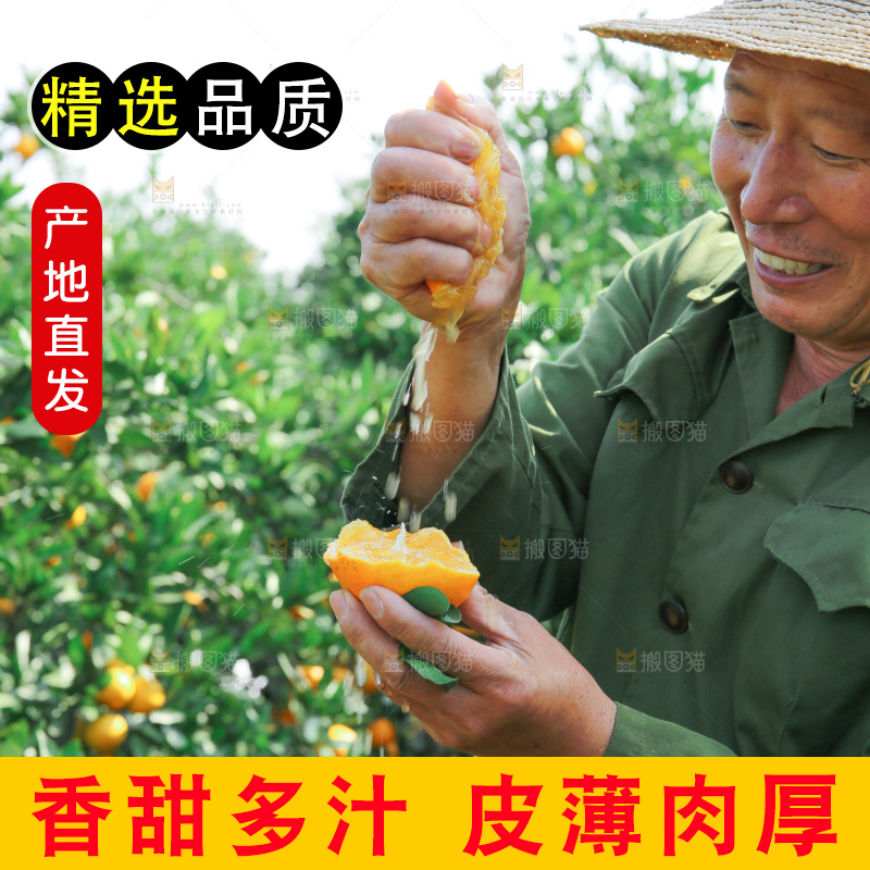 爱媛果冻橙