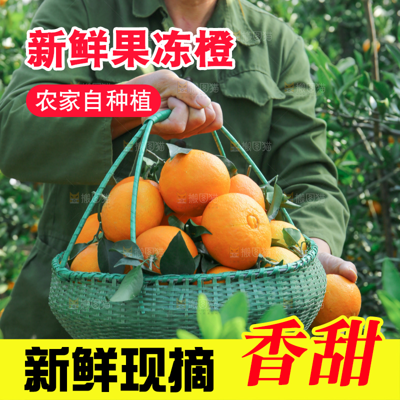 爱媛果冻橙