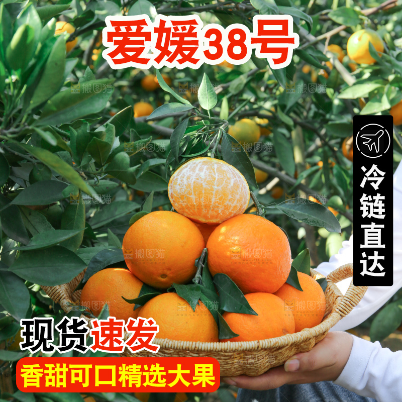 爱媛果冻橙