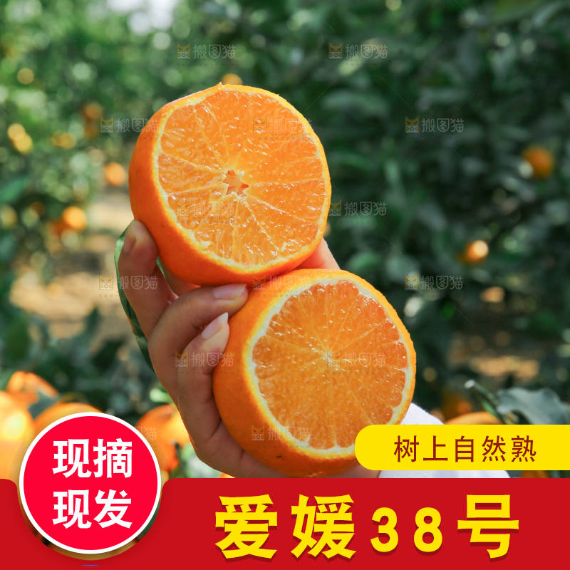 爱媛果冻橙