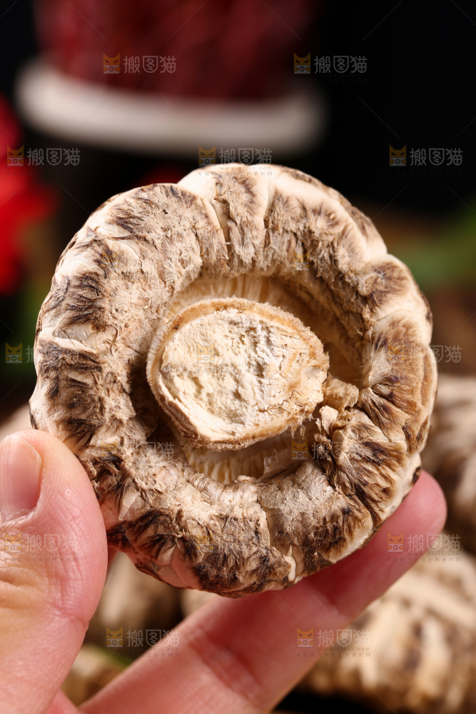 干花菇