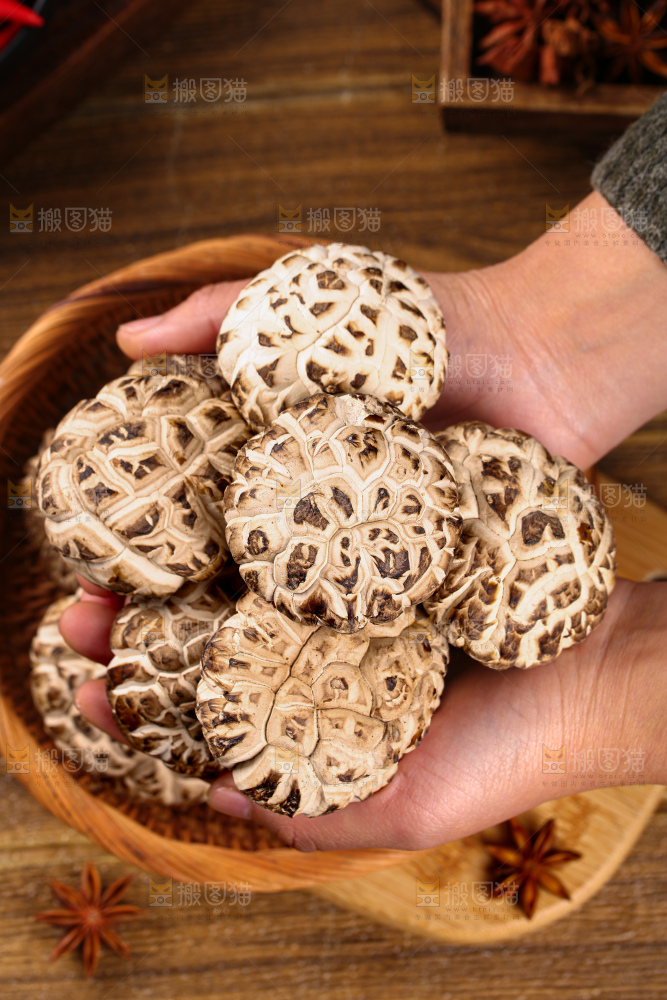 干花菇