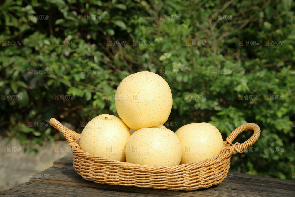 皇冠梨