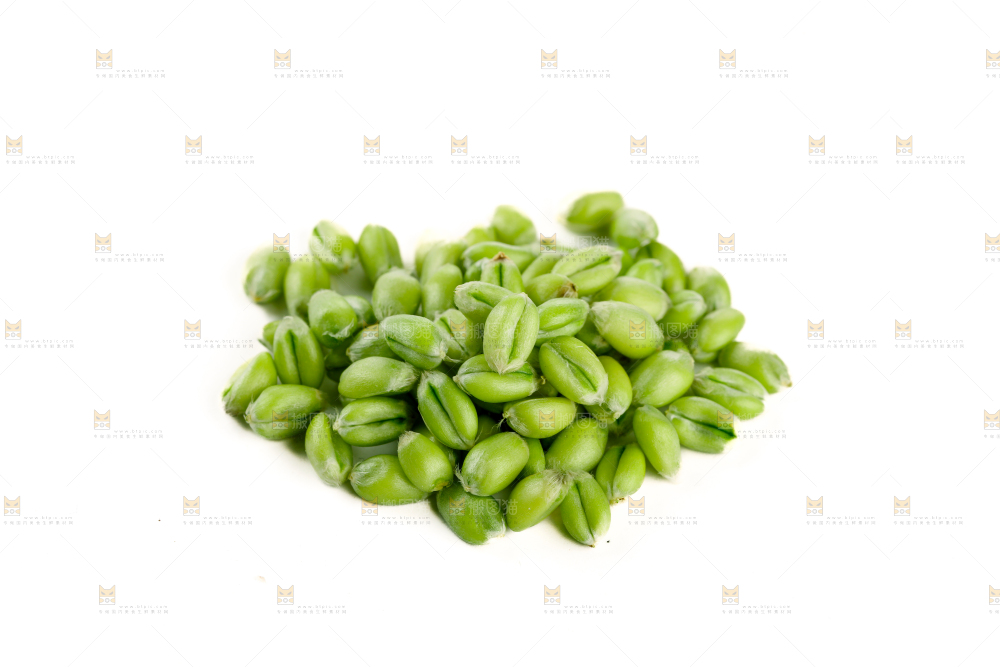 青麦仁