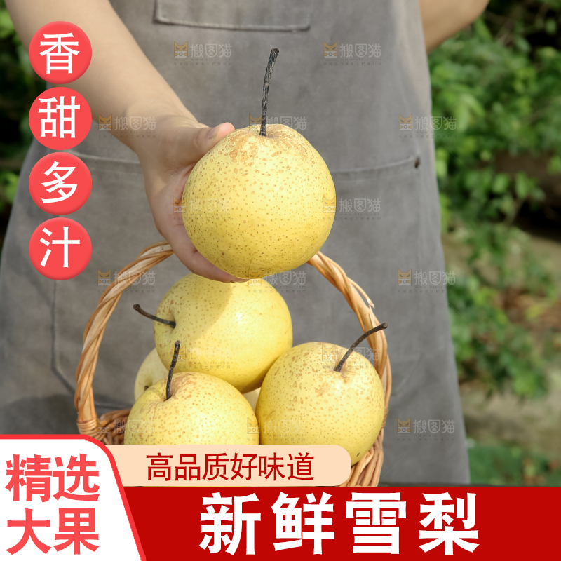 雪梨