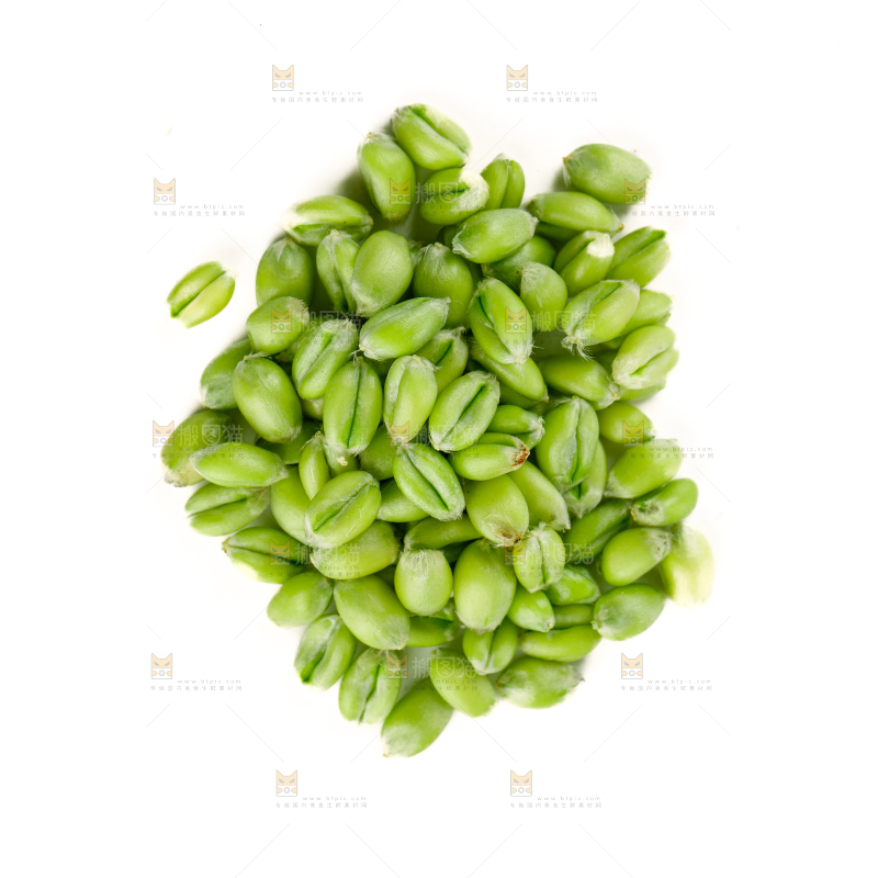 青麦仁