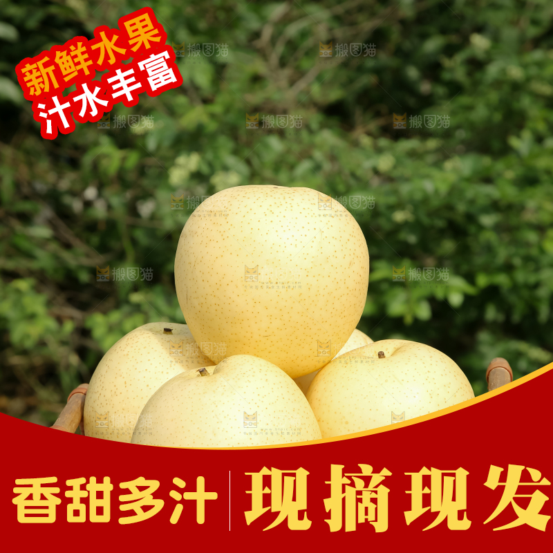 皇冠梨