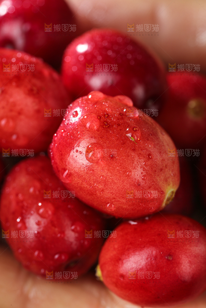 蔓越莓