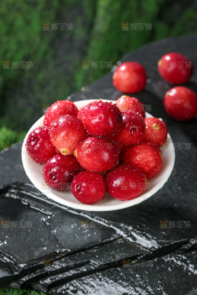 蔓越莓