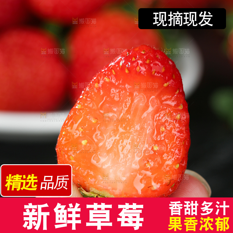 草莓
