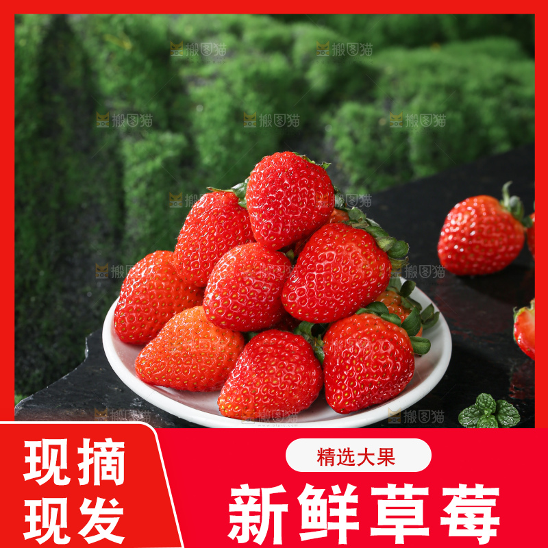 草莓