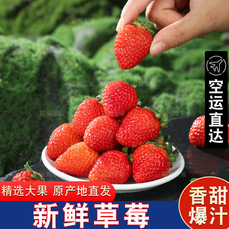 草莓