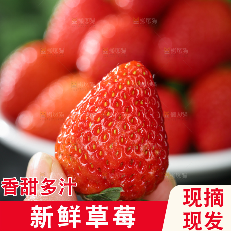 草莓
