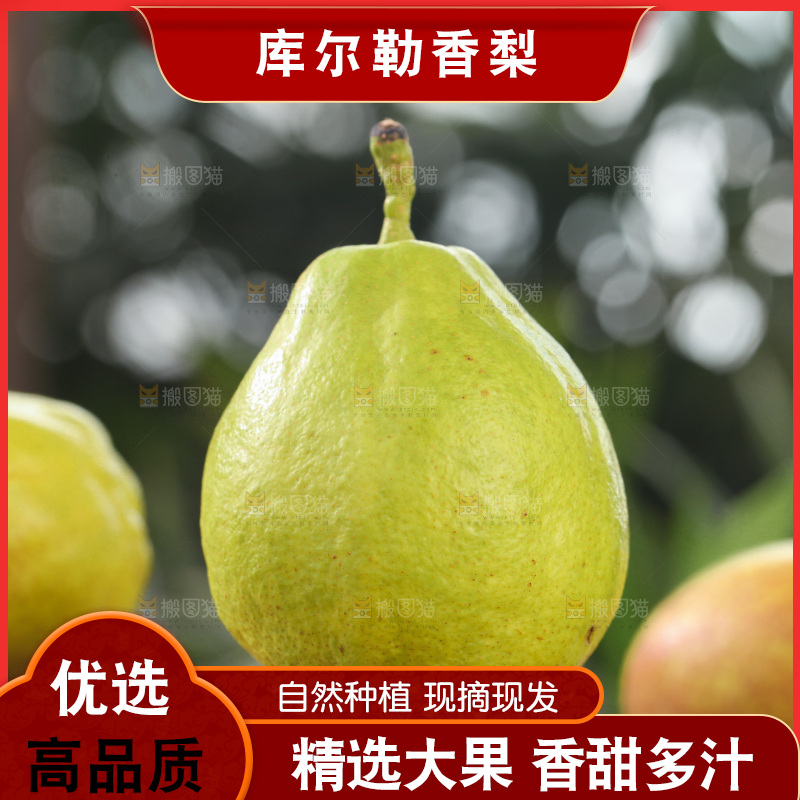 库尔勒香梨