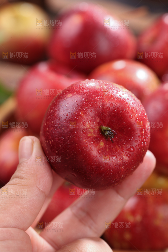 龙丰果