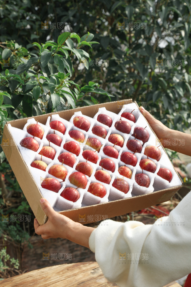 龙丰果