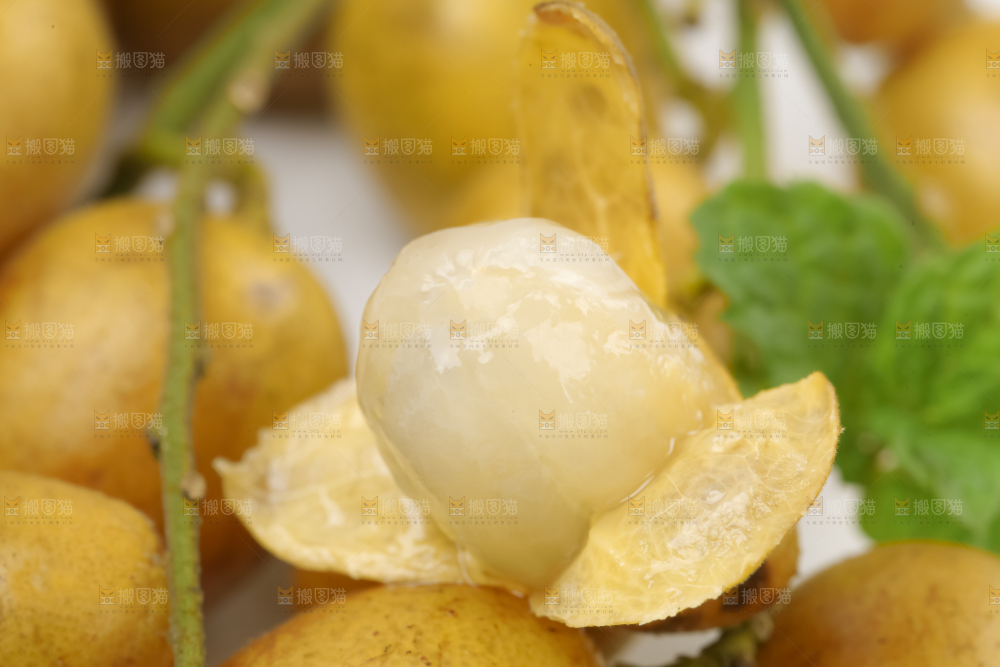 黄皮果