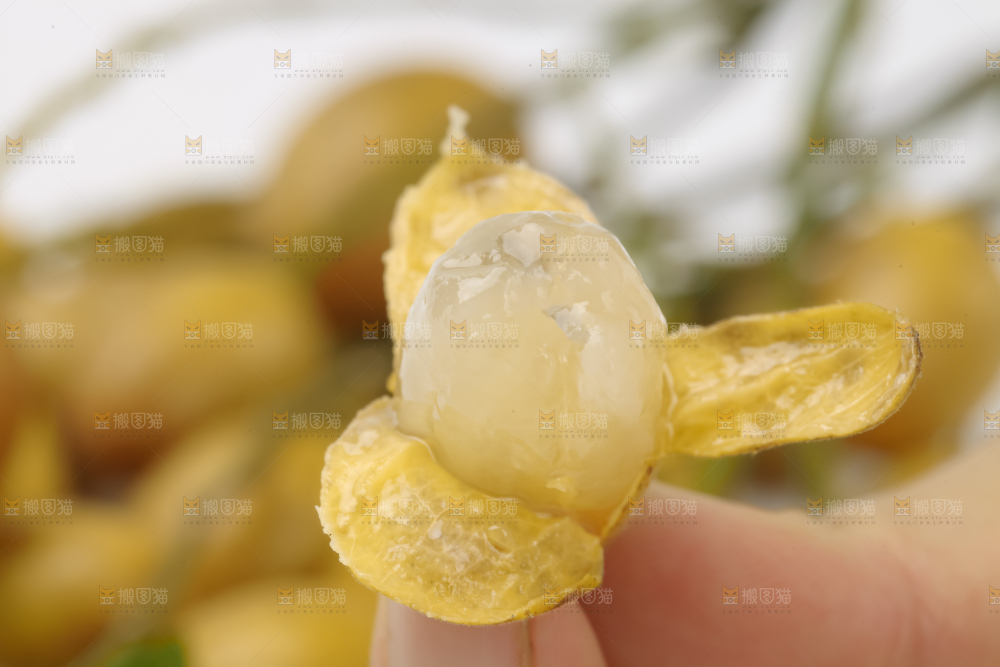 黄皮果