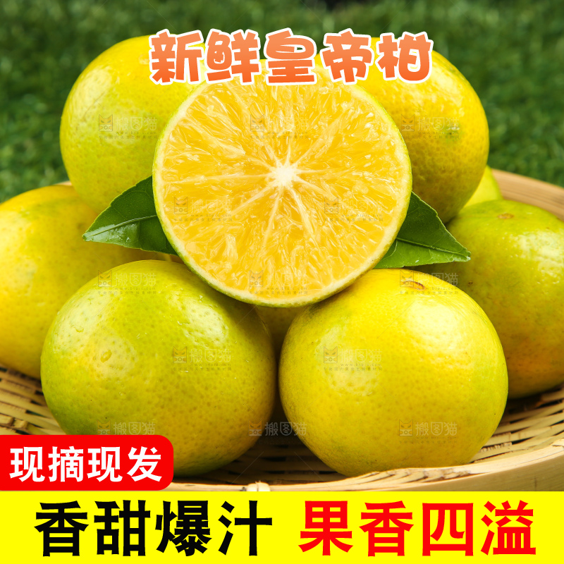 皇帝柑
