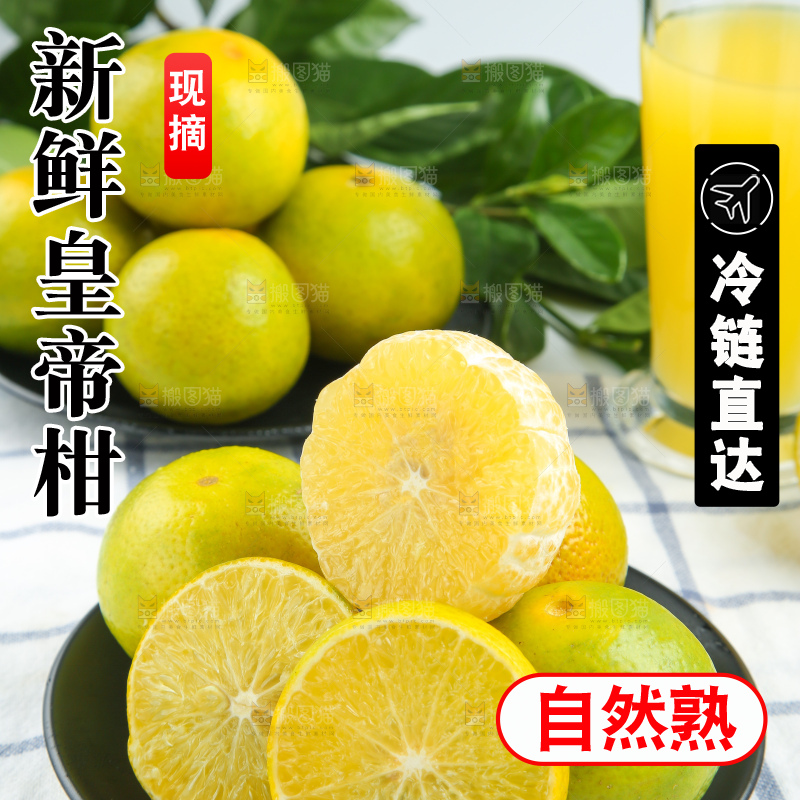 皇帝柑