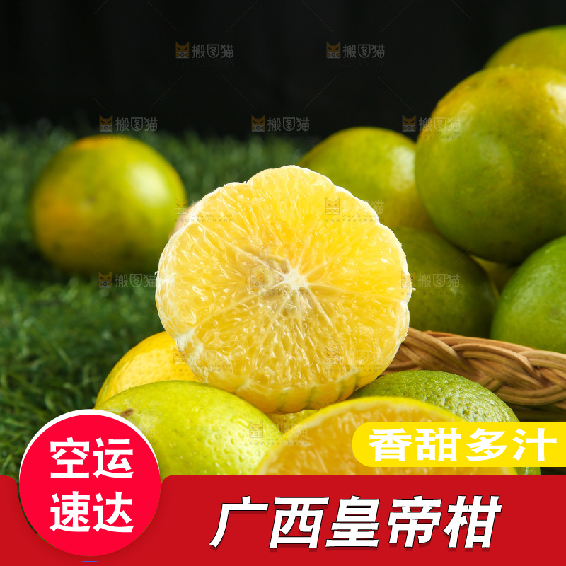 皇帝柑