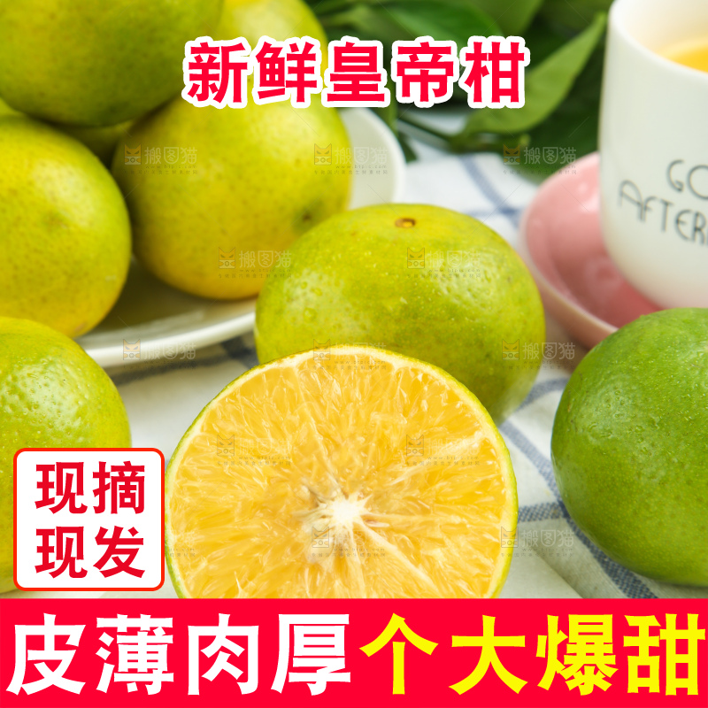皇帝柑