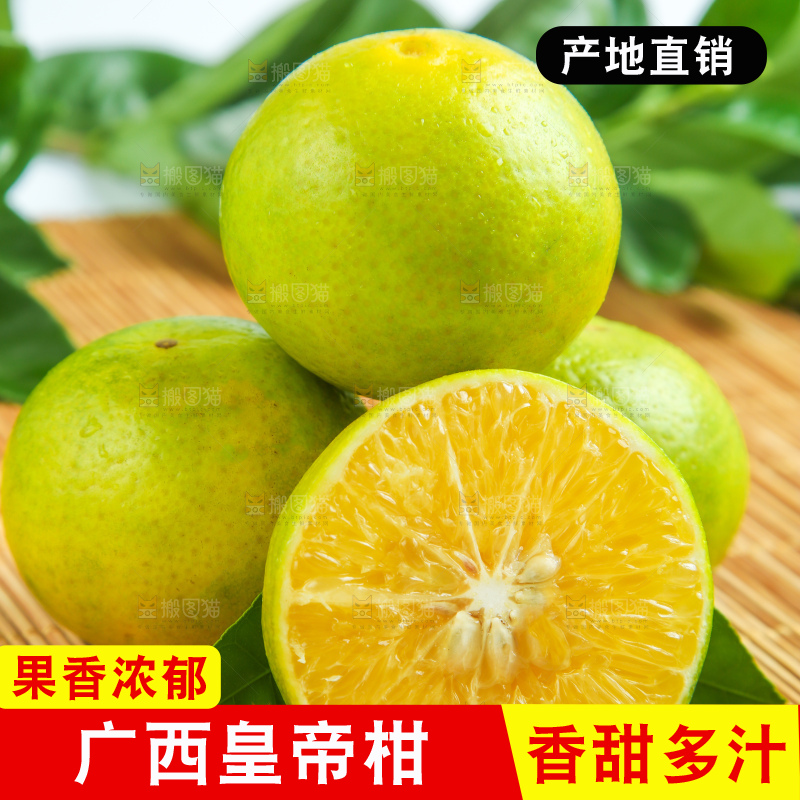 皇帝柑