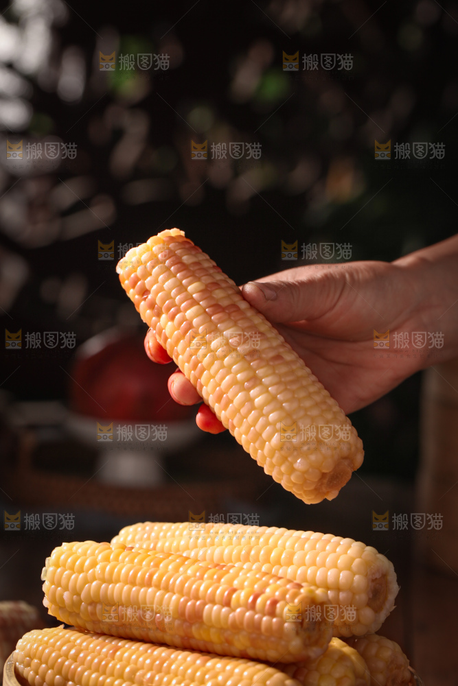 花糯玉米