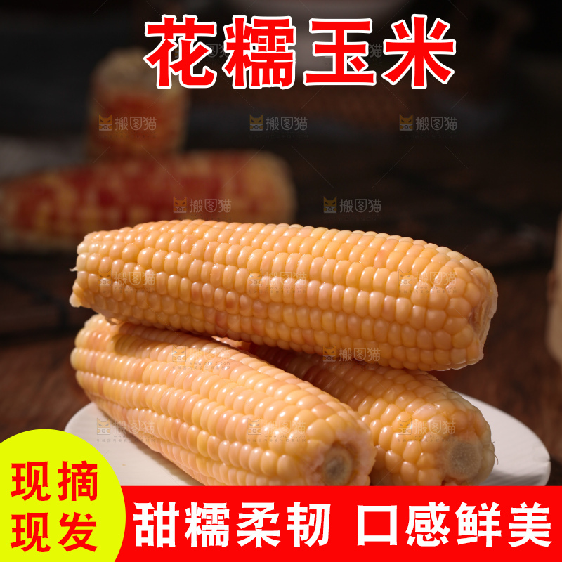 花糯玉米