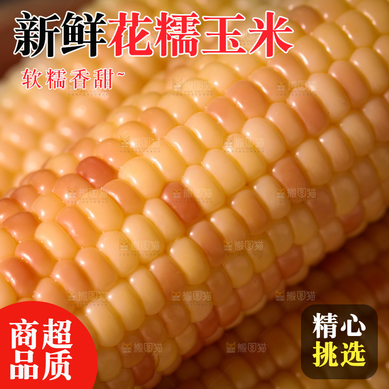 花糯玉米